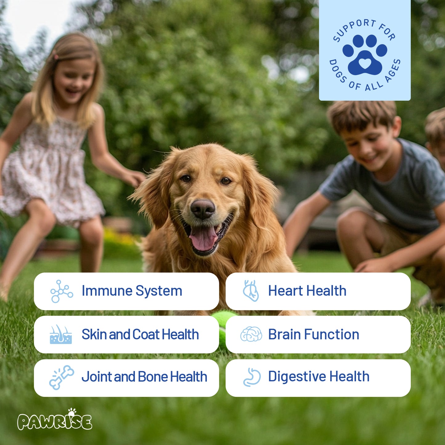 PawRise Daily Essentials All-in-One Soft Chews