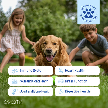 PawRise Daily Essentials All-in-One Soft Chews