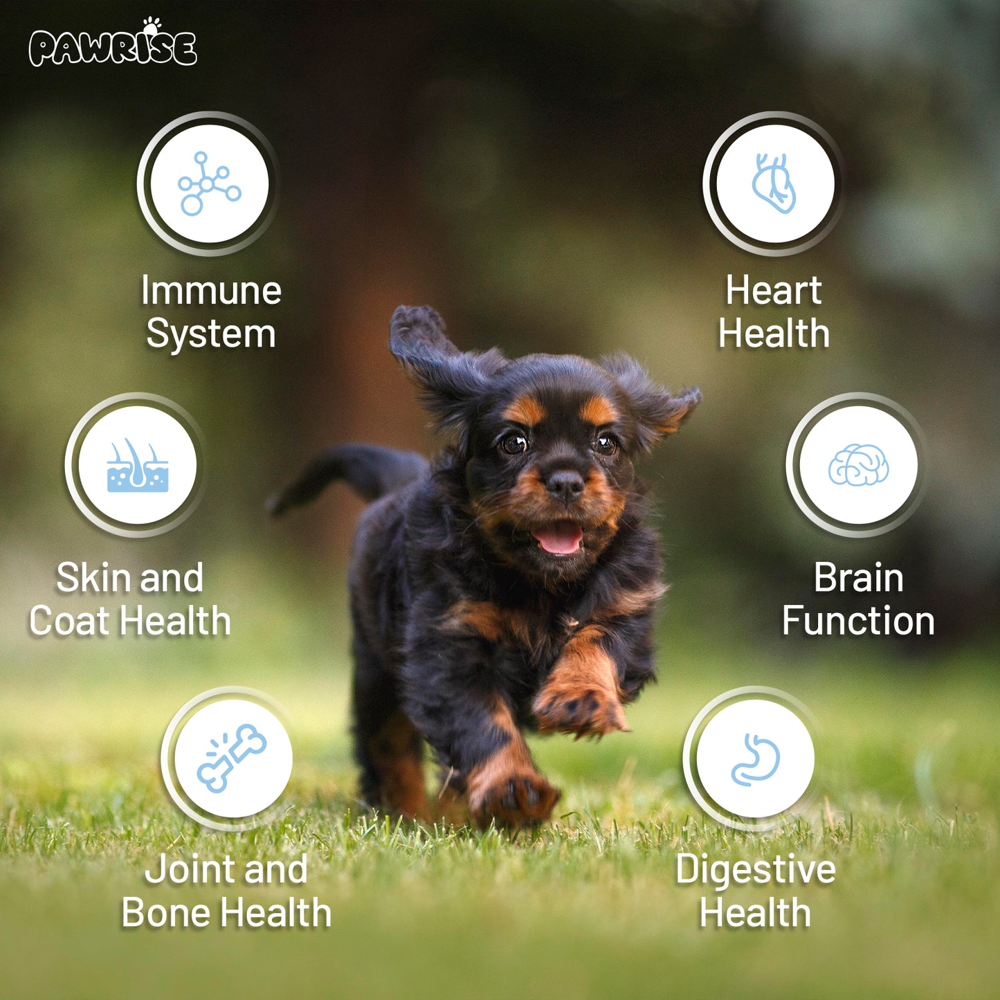 PawRise Freeze Dried Multi Vitamins Chews for Dogs
